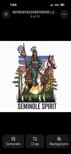 Seminole Heritage