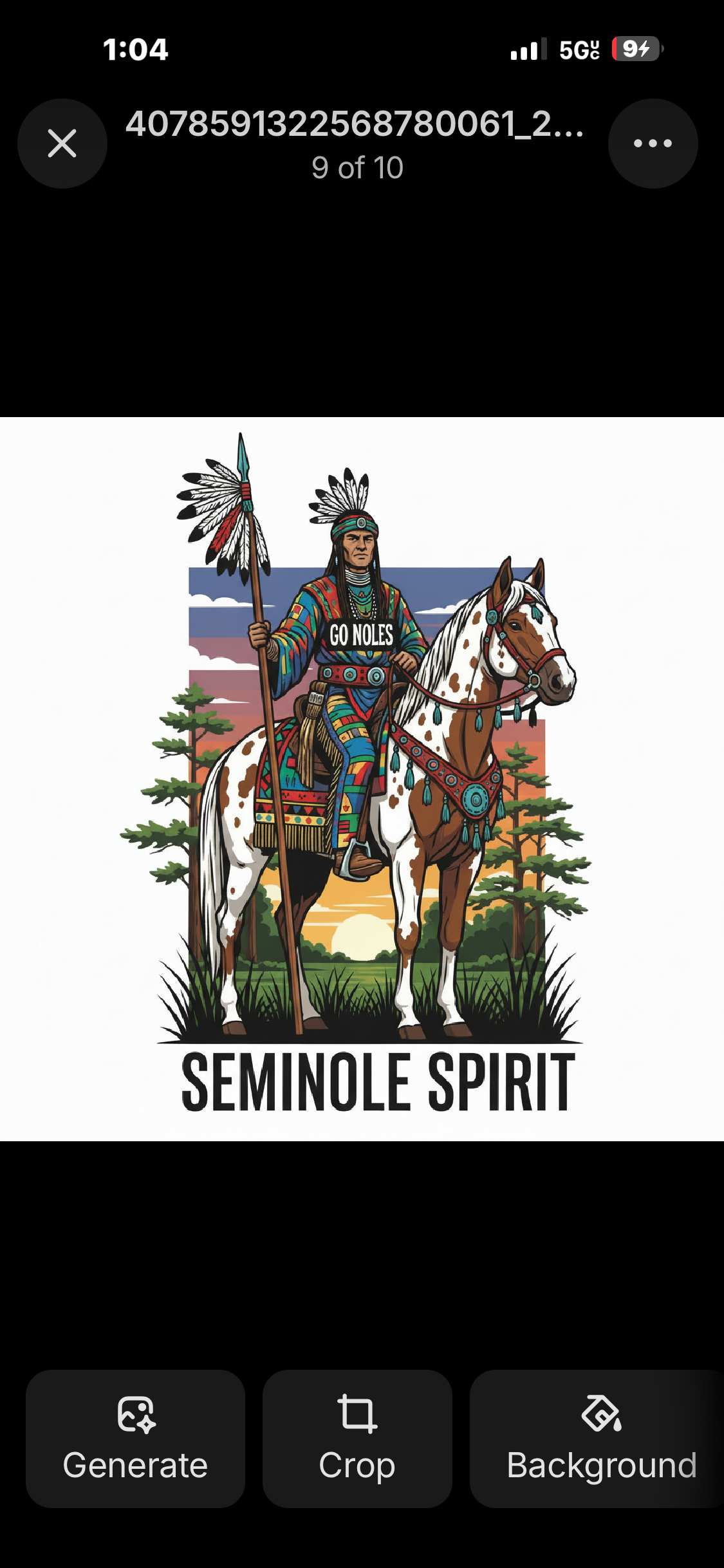 Seminole Heritage
